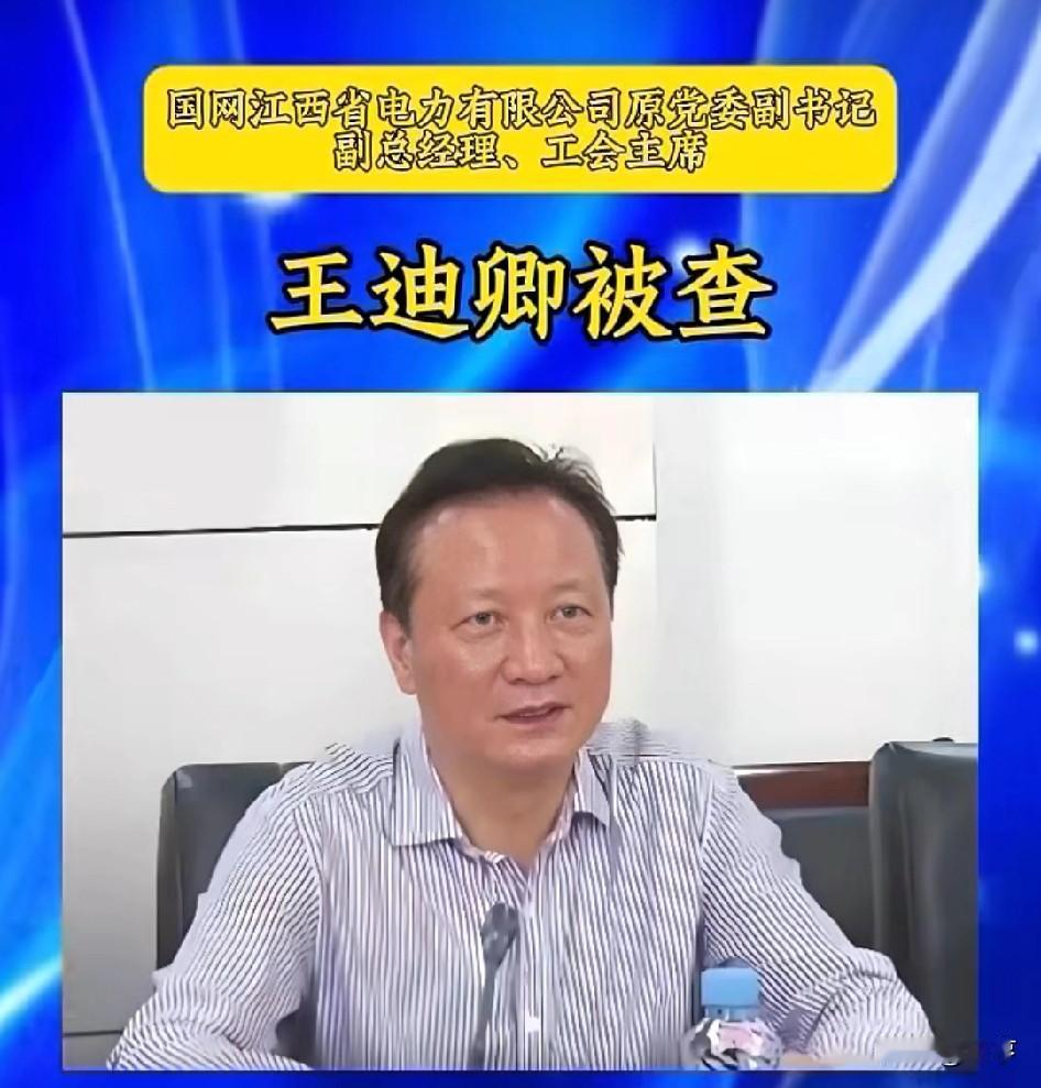十五万亿电力投资开局，正厅级王迪卿应声落马，国网今年第5人，信号太明显了中