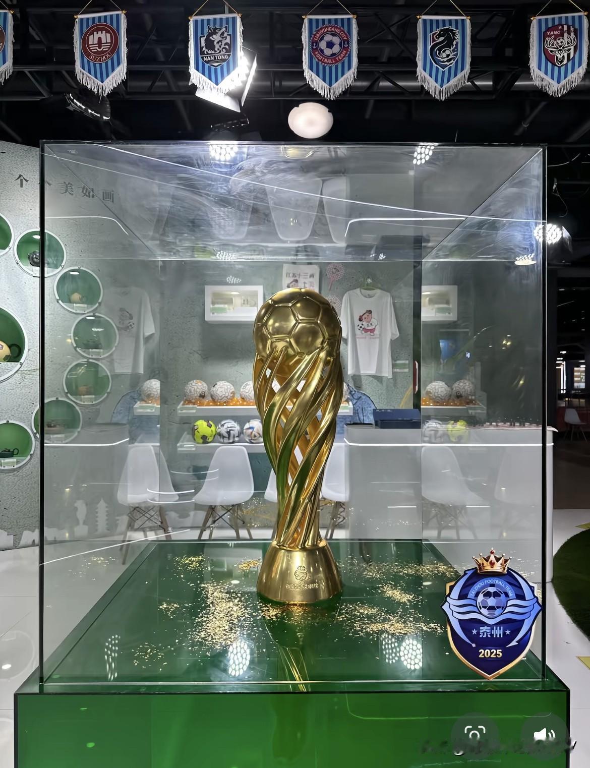 泰州这次可真是狠狠出圈了！泰州的冠军奖杯在上海进口博览会展出，受到全世界瞩目。