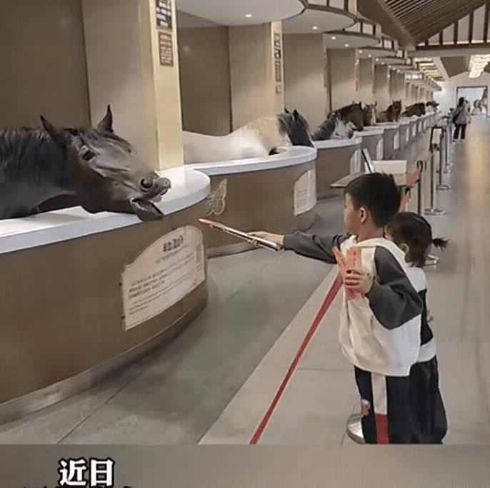 这小朋友给马儿喂的是什么东西，为什么马儿吃了这个东西之后，不停的点头？也许是小朋