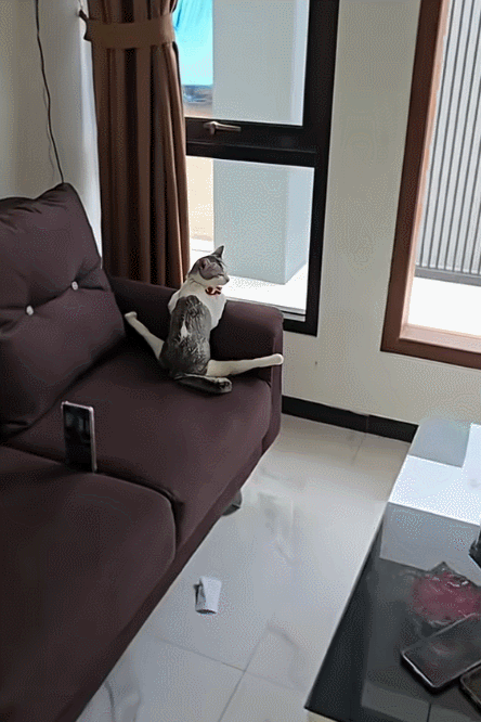 小伙子，你这个造型很奇特啊！​​​