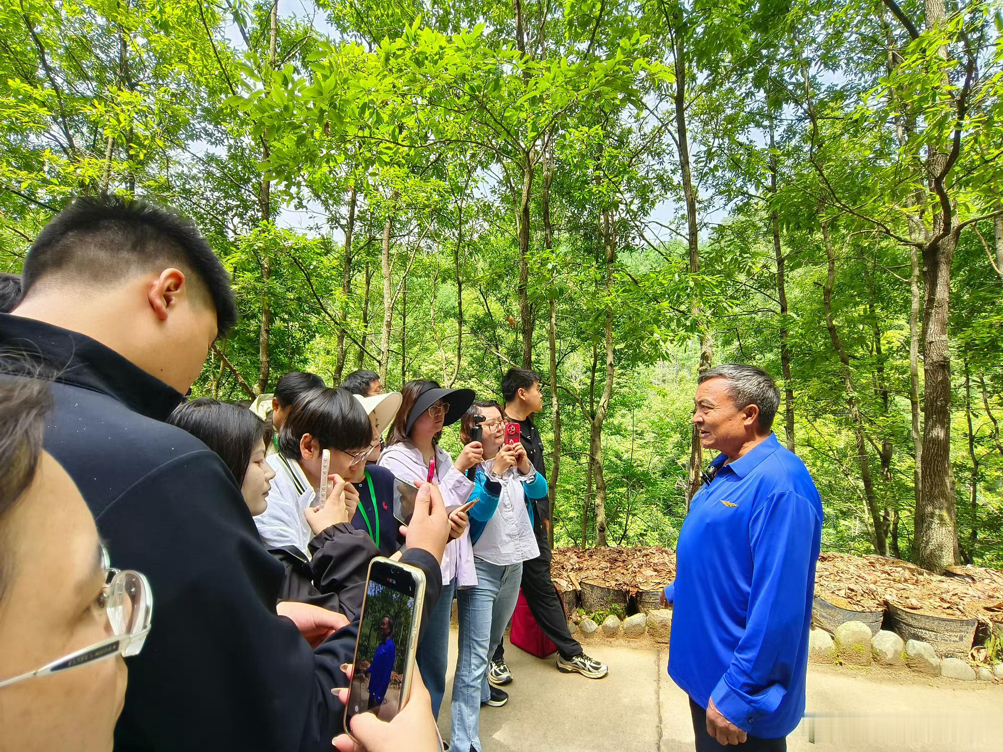 甘肃阳坝林下生态经济【一桶天麻，破解连作困局】传统天麻种植面临“种一年、歇十