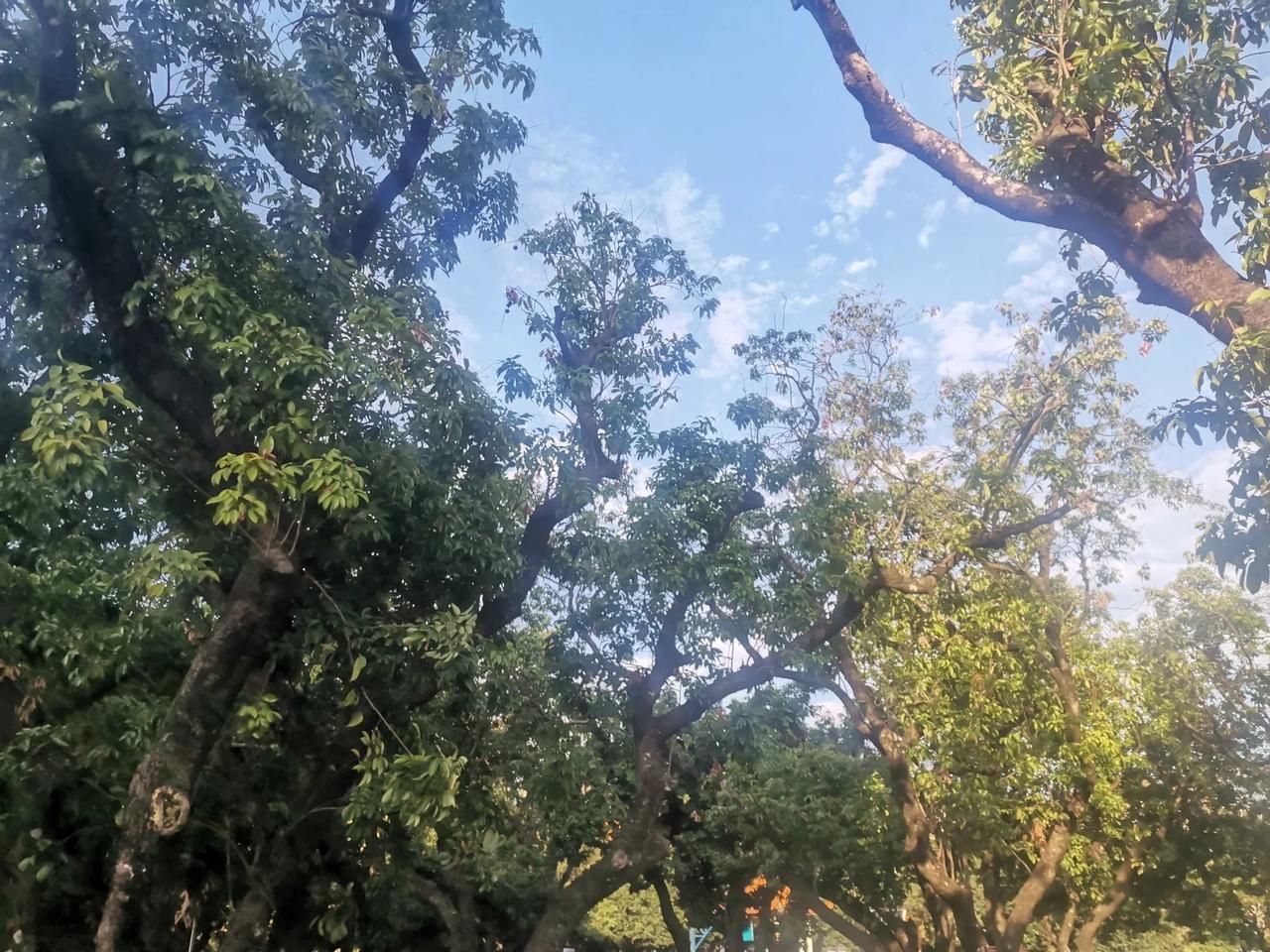 有一类老师教学成绩不好，但是业绩年年都排在前面，这类老师常常引起其他老师的不满，