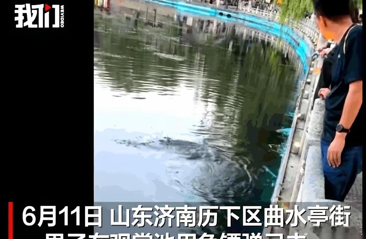 济南曲水亭街那条大鱼，死得太扎眼了。不是被钓走的，也不是被捞走的。是被一个戴着墨