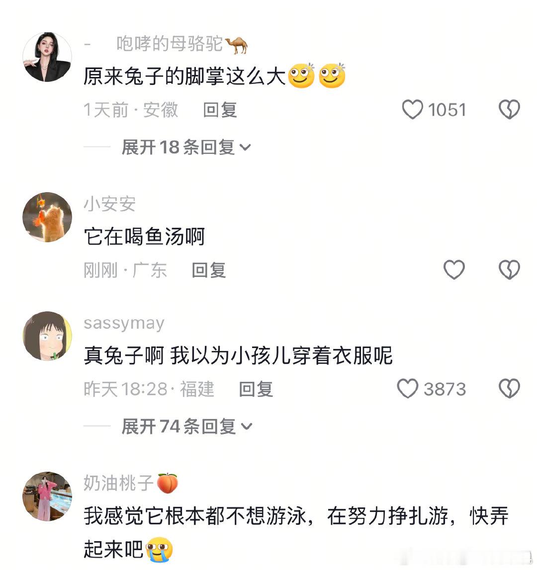 第一次看见兔子游泳，大脚板啊（