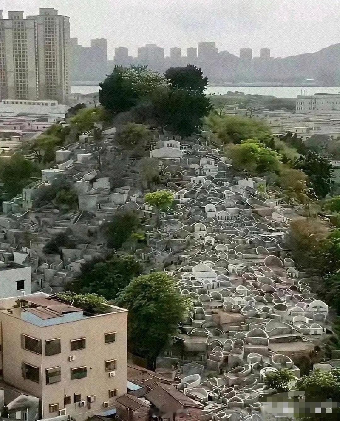 多年以后，这就是土葬的后果吧！！