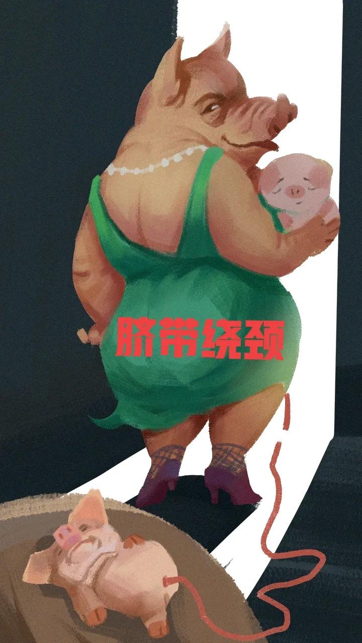 淮河医院的出生证明给了我没要呀！缴费单据我就不给你看呀！对呀我就是无耻呀！对对对