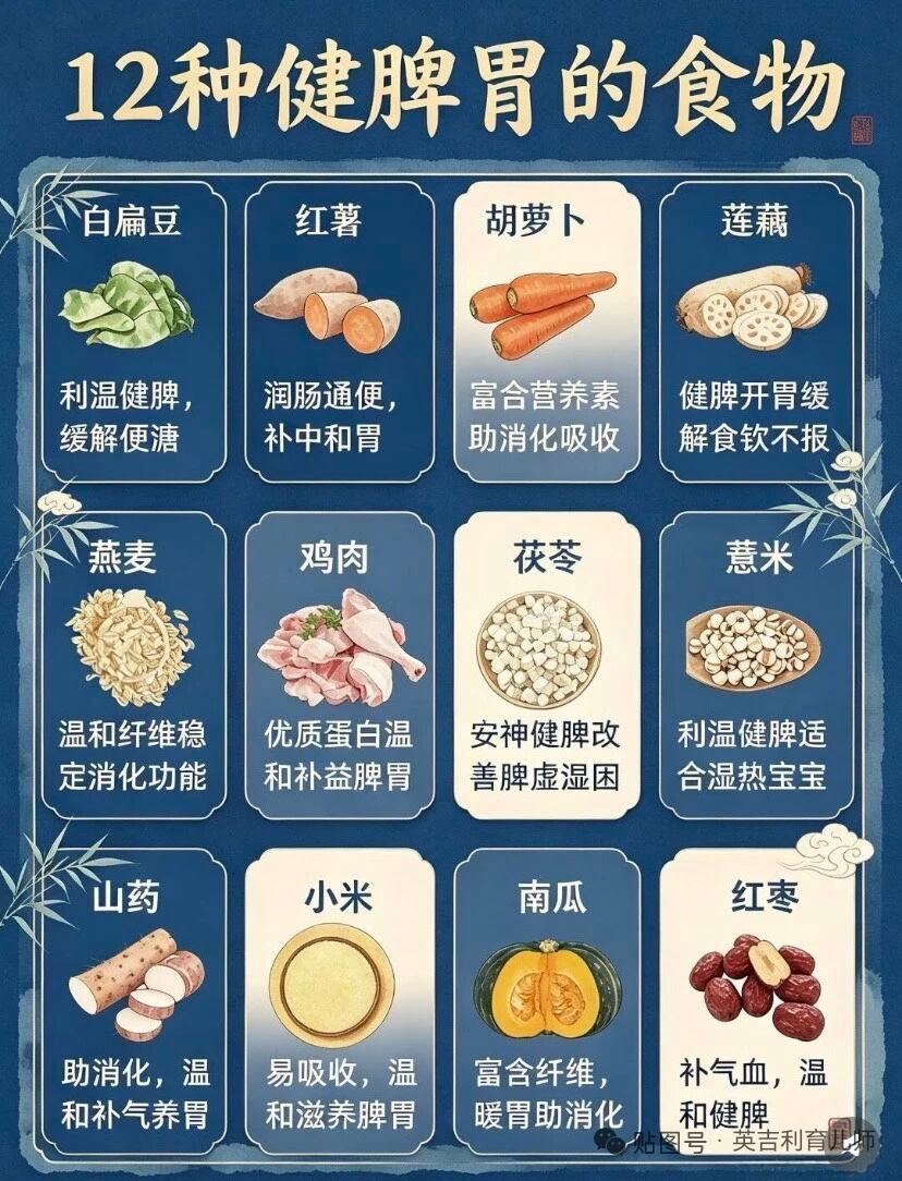 整理了亲测有效的12种健脾胃食材，日常食用完全不用特意进补。山药是药食同源的