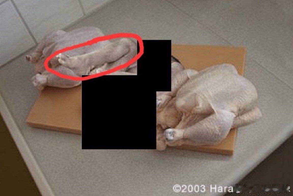 一张被掩盖处理的爱泼斯坦档案照片显示，两块鸡肉中间夹着一个看起来像婴儿的东西。另