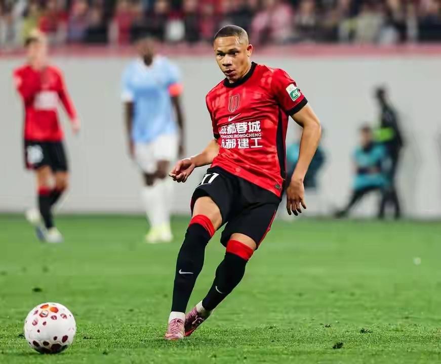 本赛季预测中超冠军将在成都蓉城和上海申花之间产生。就算罚分了我觉得申花也是冠军的