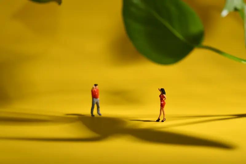 家庭悲剧背后：一场误会引发的悲剧，警示我们珍惜与信任的重要2024年3月24