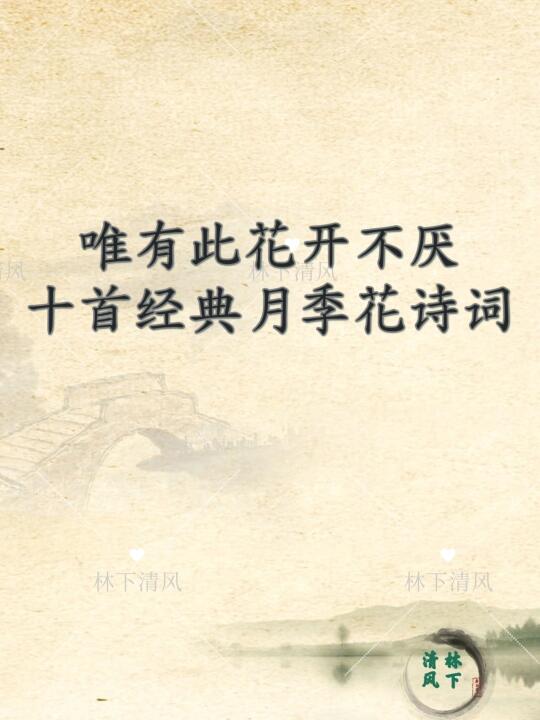唯有此花开不厌，十首经典月季花诗词