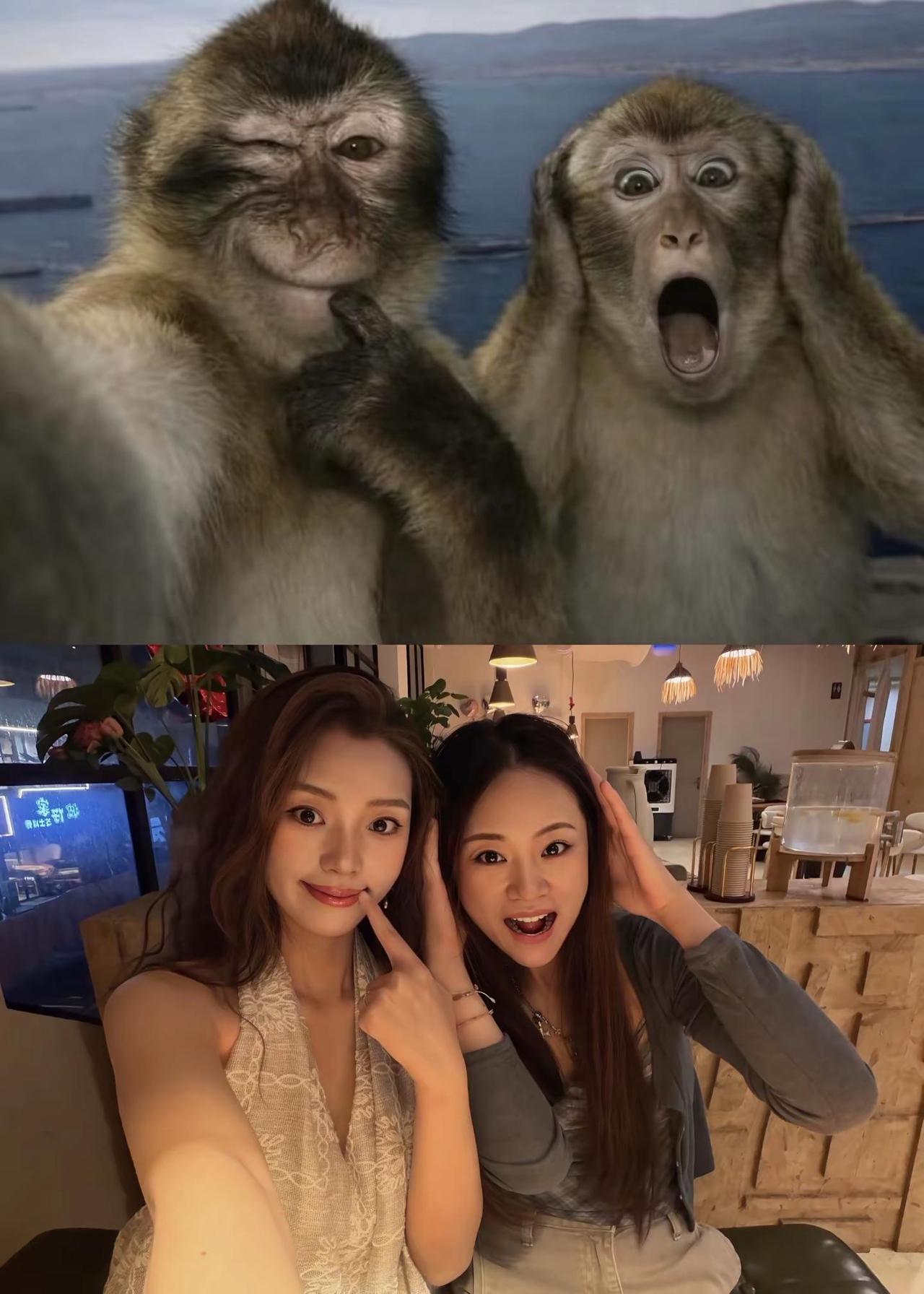 已拍不欠拍照抽象