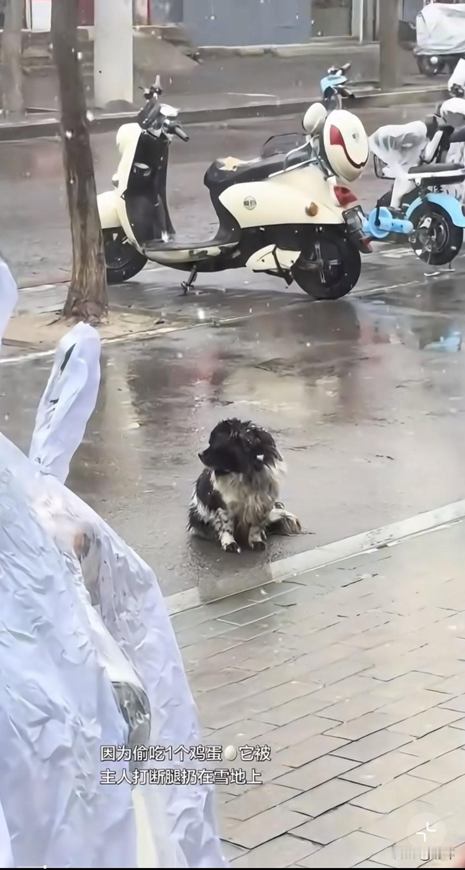 泪目了！一位小姐姐身体不好无法工作，一直在家养病，这天因为下雨她撑着雨伞去买菜，