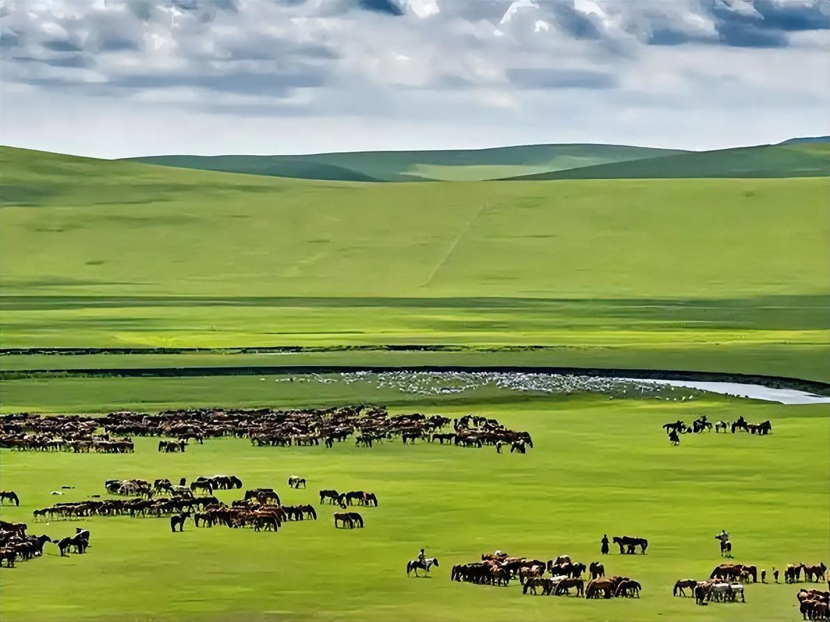 春日生活打卡季千里草原牧马行，天地一片绿意生。