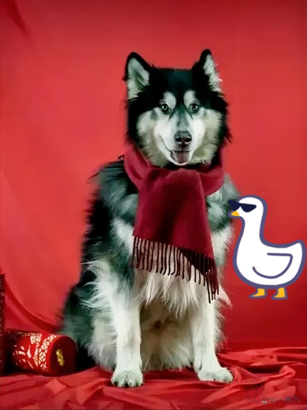 这回印度传来的消息，说一种叫“尼帕”的病毒事情，听着让人头皮发麻。这种“尼帕