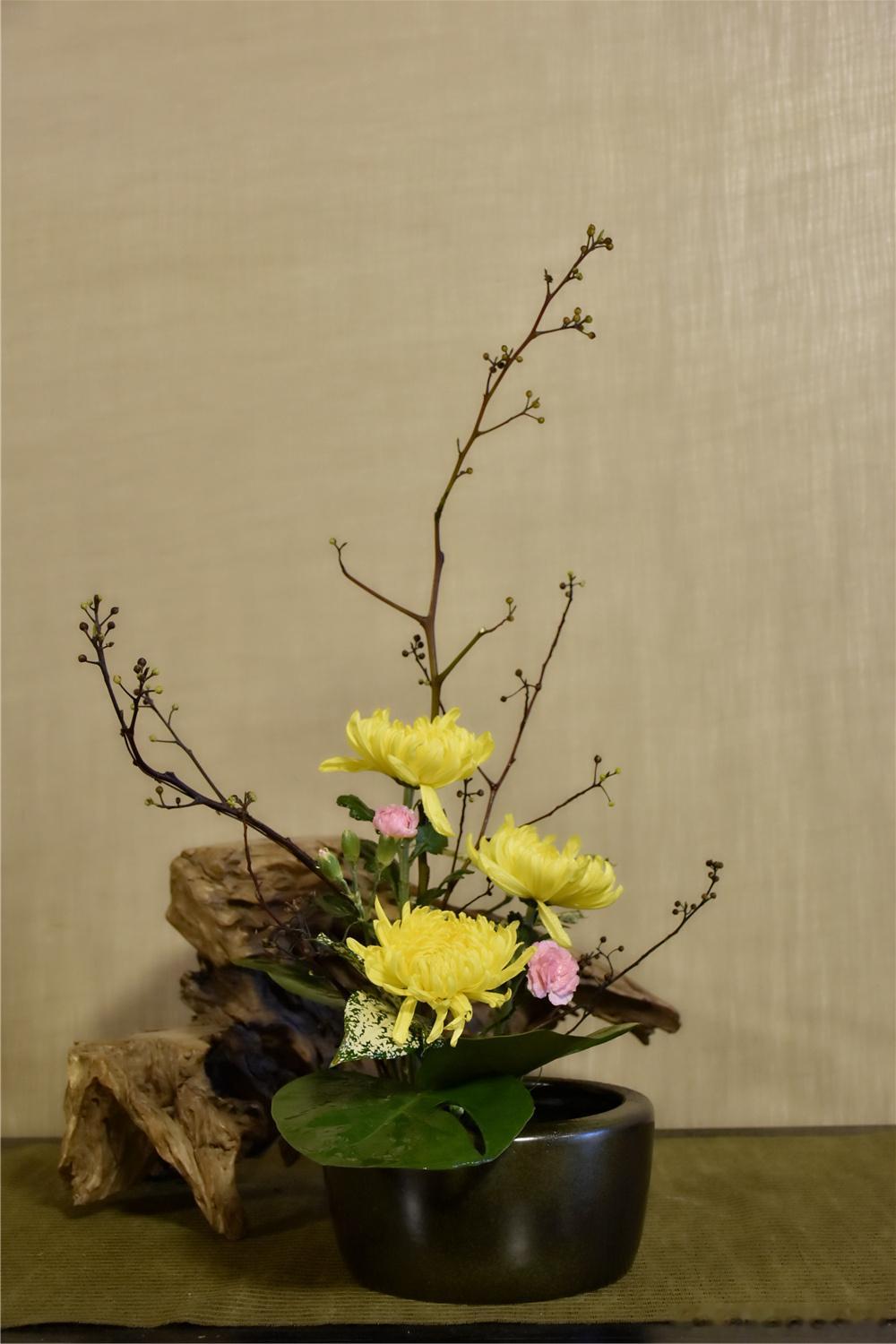 3月属鸡人2026年在农历3月份会迎来许多新的机遇，在这个月份当中，感情方面的机