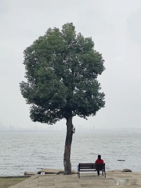 一个人独处，究竟是孤独还是享受，这得看个人心境。常有人觉得，一个人待着就是孤独，