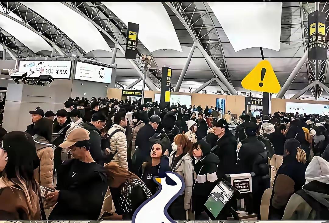 机场炸了！上万人滞留日本，回不去了！去的时候笑嘻嘻，回来的时候哭爹喊娘！当初