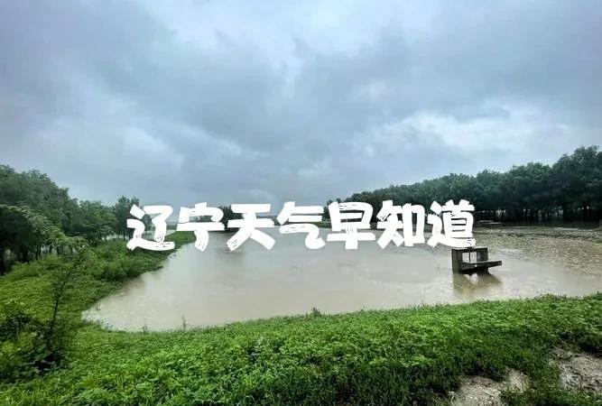 辽宁的朋友注意了！8月3号星期日大家早上好！瓢泼大雨，大家出门注意安全……今天