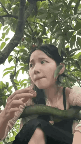 我敢打赌，很多人都没见过这种荔枝，更别说吃过了！