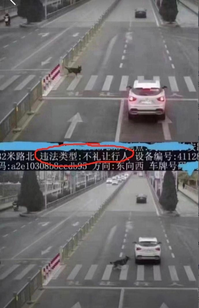 承包了一天的笑点～​​​