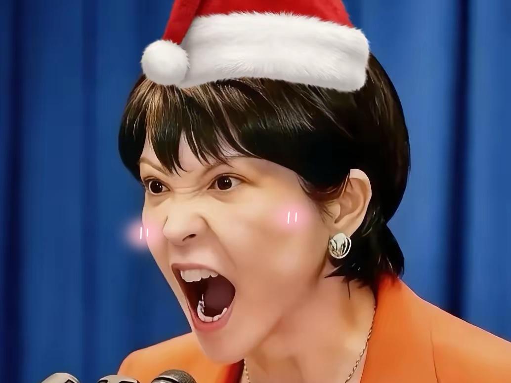 快报！快报日本突然宣布了12月25日，日本航空自卫队新田原基地被曝出大问题