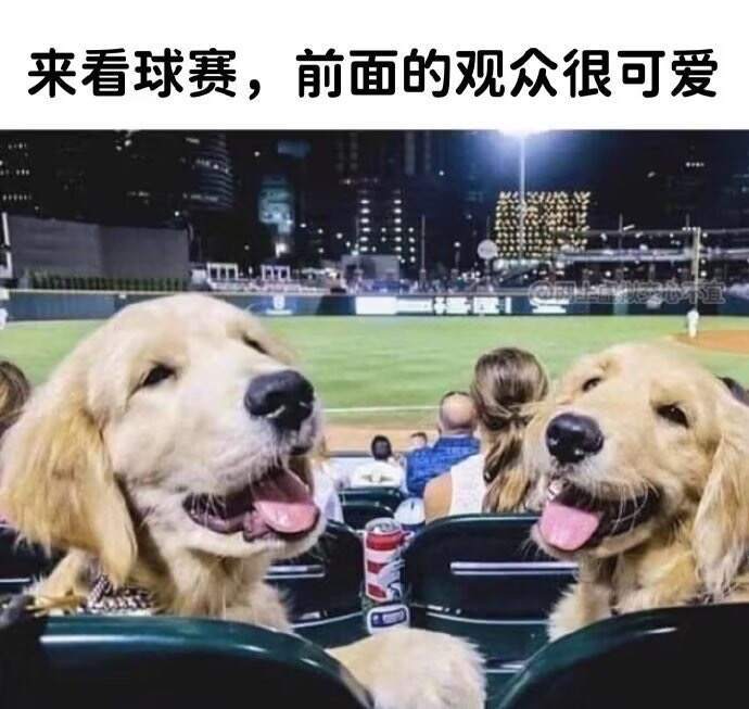 meme一下：当然是继续打！