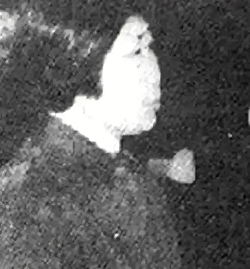 2000年的一天，曾为一代风云人物的王秀珍，被人发现死于一间简陋的出租屋里，这个