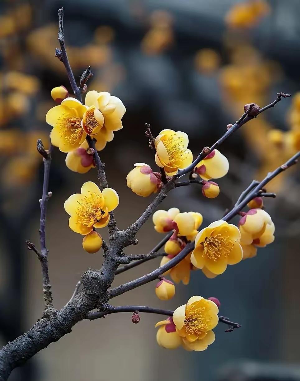 放学接娃听到两个家长的聊天，这话术……实在是牛[捂脸哭][捂脸哭][捂脸哭]先声明不