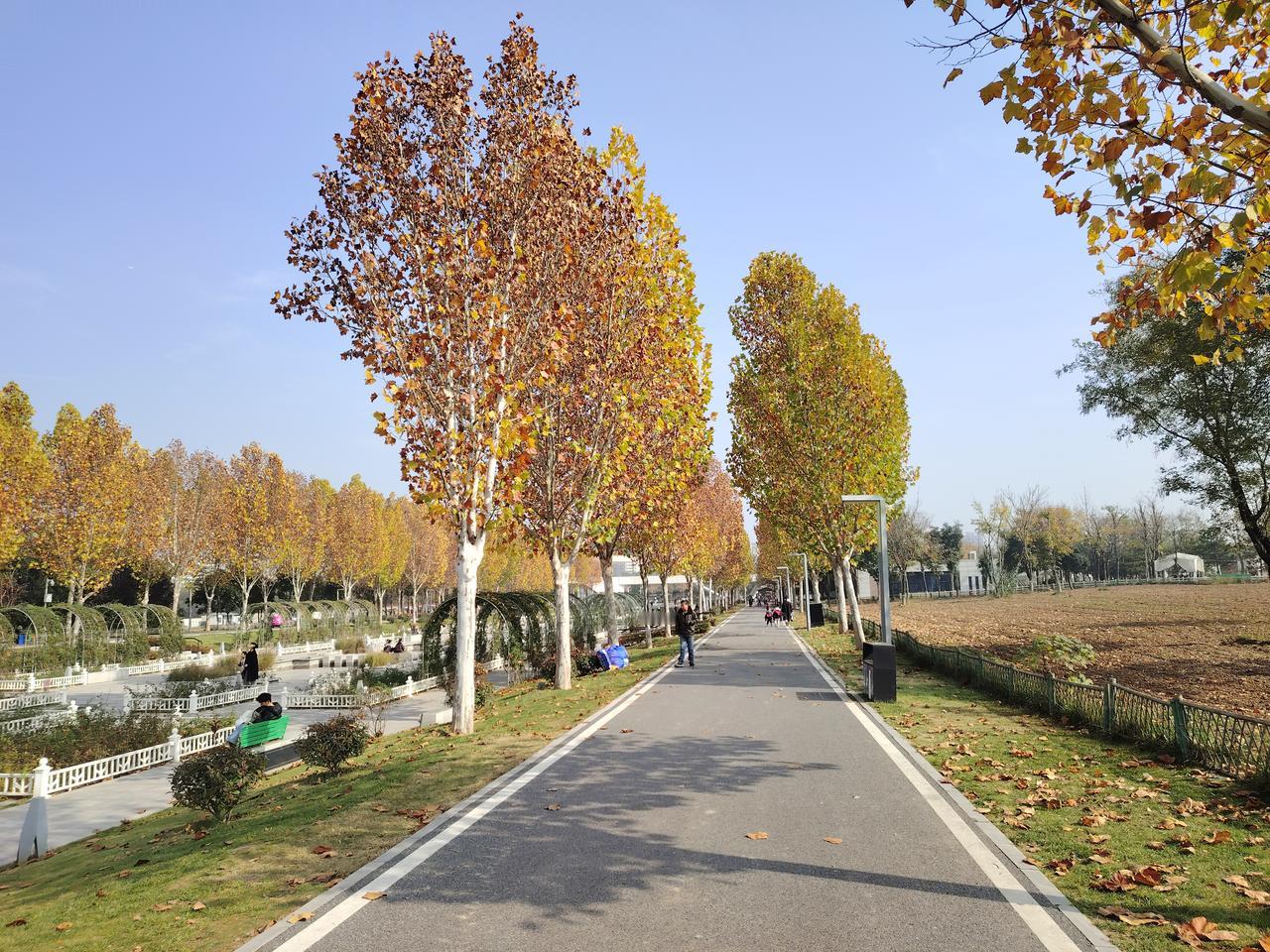 有个教师，名叫小屈，她在冬季，受了委屈。临近年关，有个插曲。期末考试，未得第一。