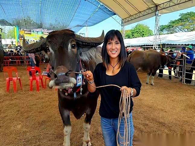 那个56岁的英国男人，在泰国已经待了十几年，和自己43岁的妻子，守着一个农场过日