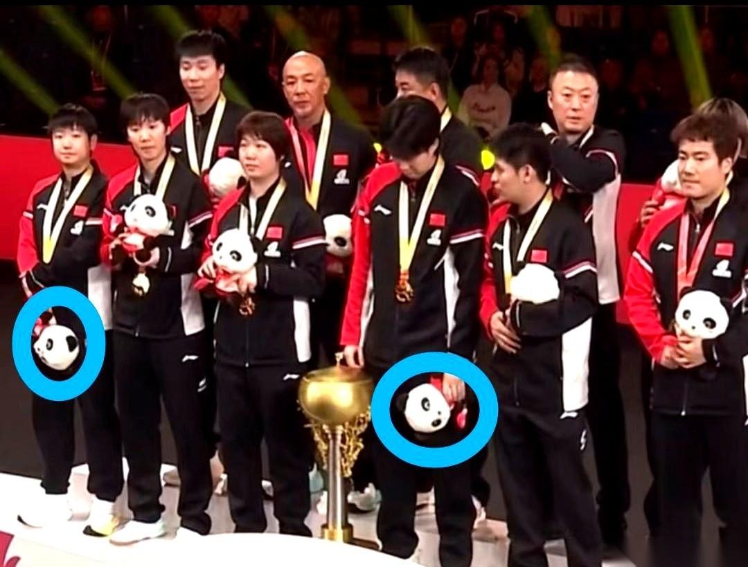 我真的会笑死。有些人的默契，是老天爷追着喂饭的水平，不服不行。一张图，一排人