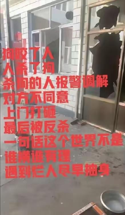 狗咬人，必须要找狗主人赔偿医药费。人生命之尚，不用赔偿狗的钱。狗主人小题大作，不