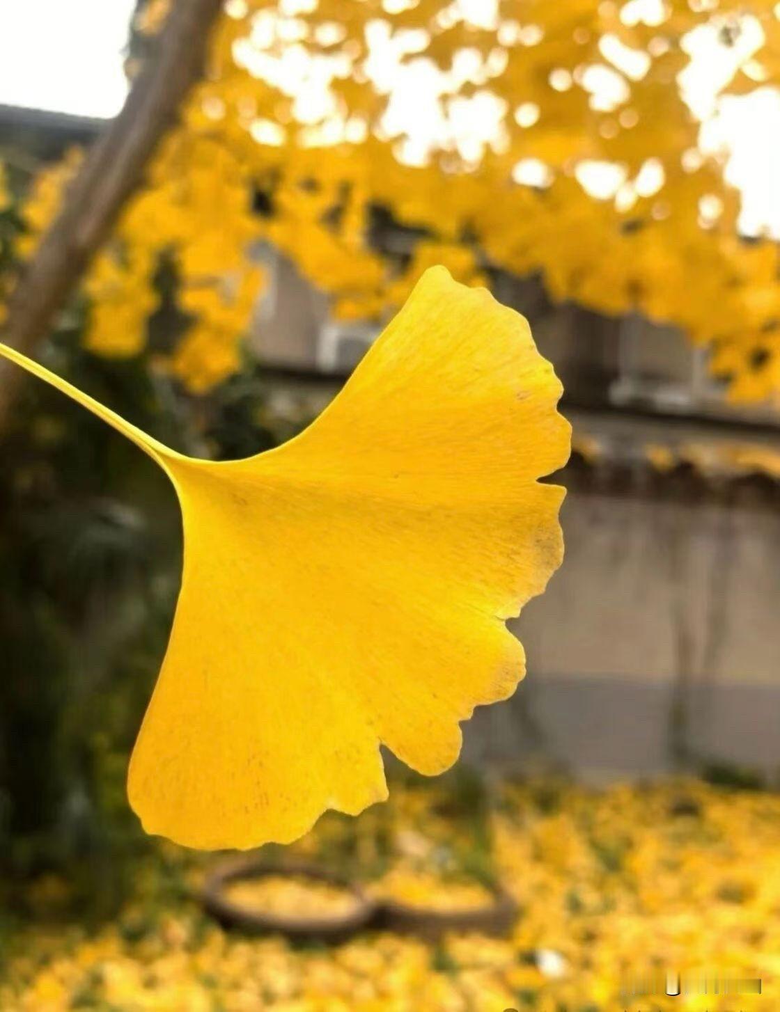 那天，领导把我叫到他办公室，看似随意地问了一句：“你报上来的数据你都看过了吗？”