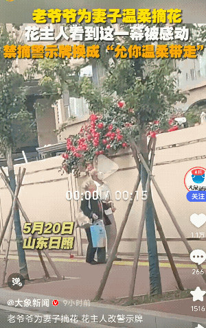 温柔不过此！山东日照，一老爷爷和自己爱人路过一户人家，看到这户人家的花开出了墙