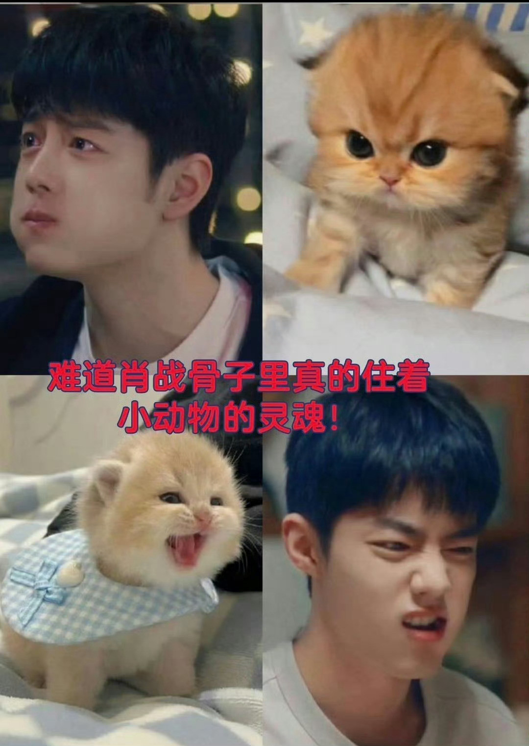 肖战这简直一模一样…​​​