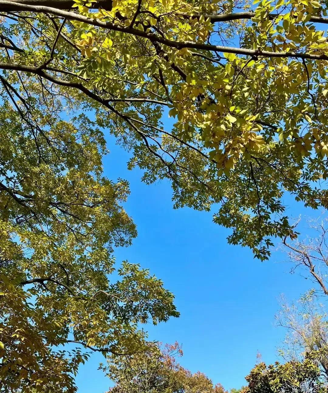 徐老师正在上英语课，讲到一半突然扶着讲台慢慢蹲下，学生以为她弯腰捡粉笔，几秒后人