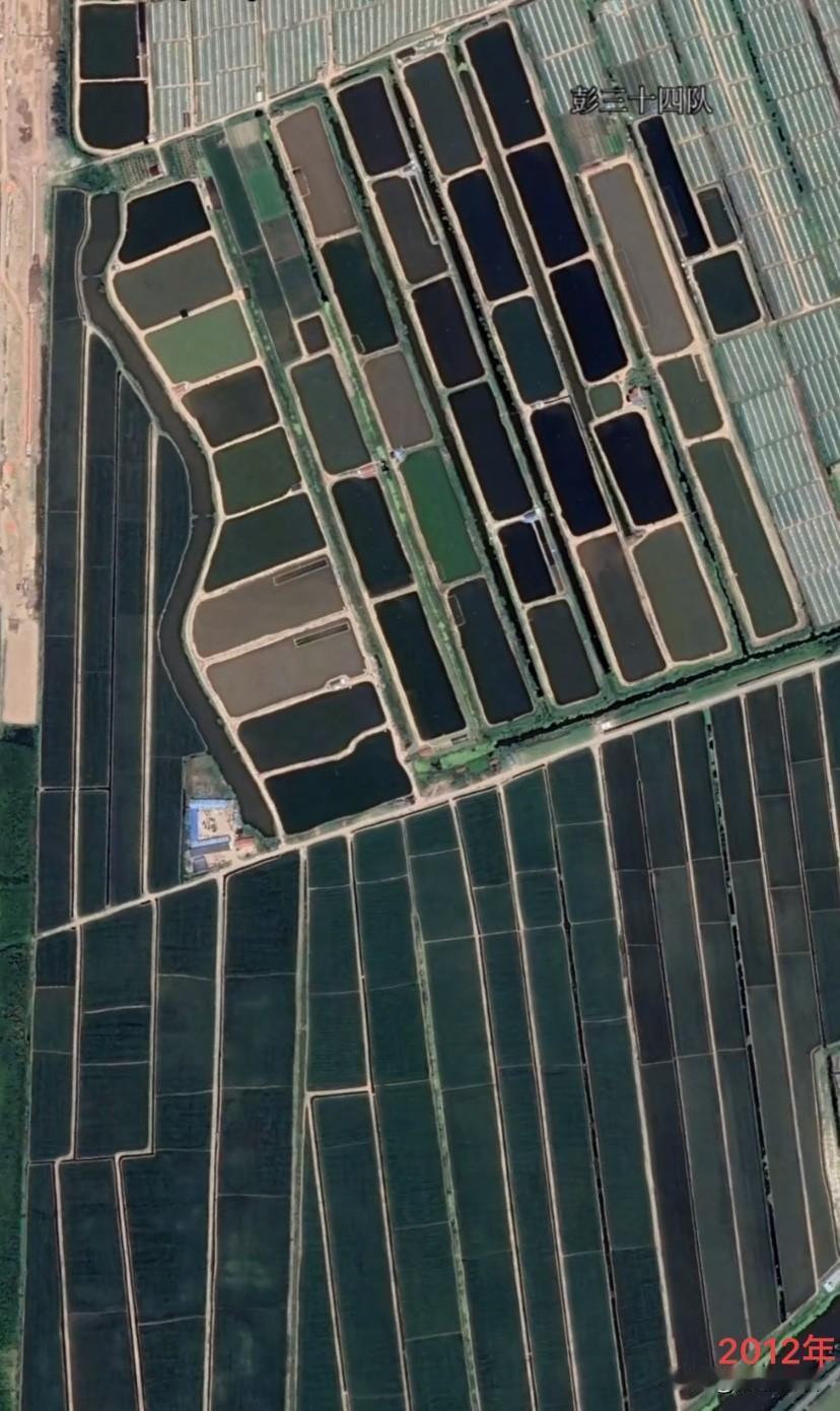 在这几年里，说起特斯拉在上海建厂这件事，很多人都还记得当时网上的一阵热议。有