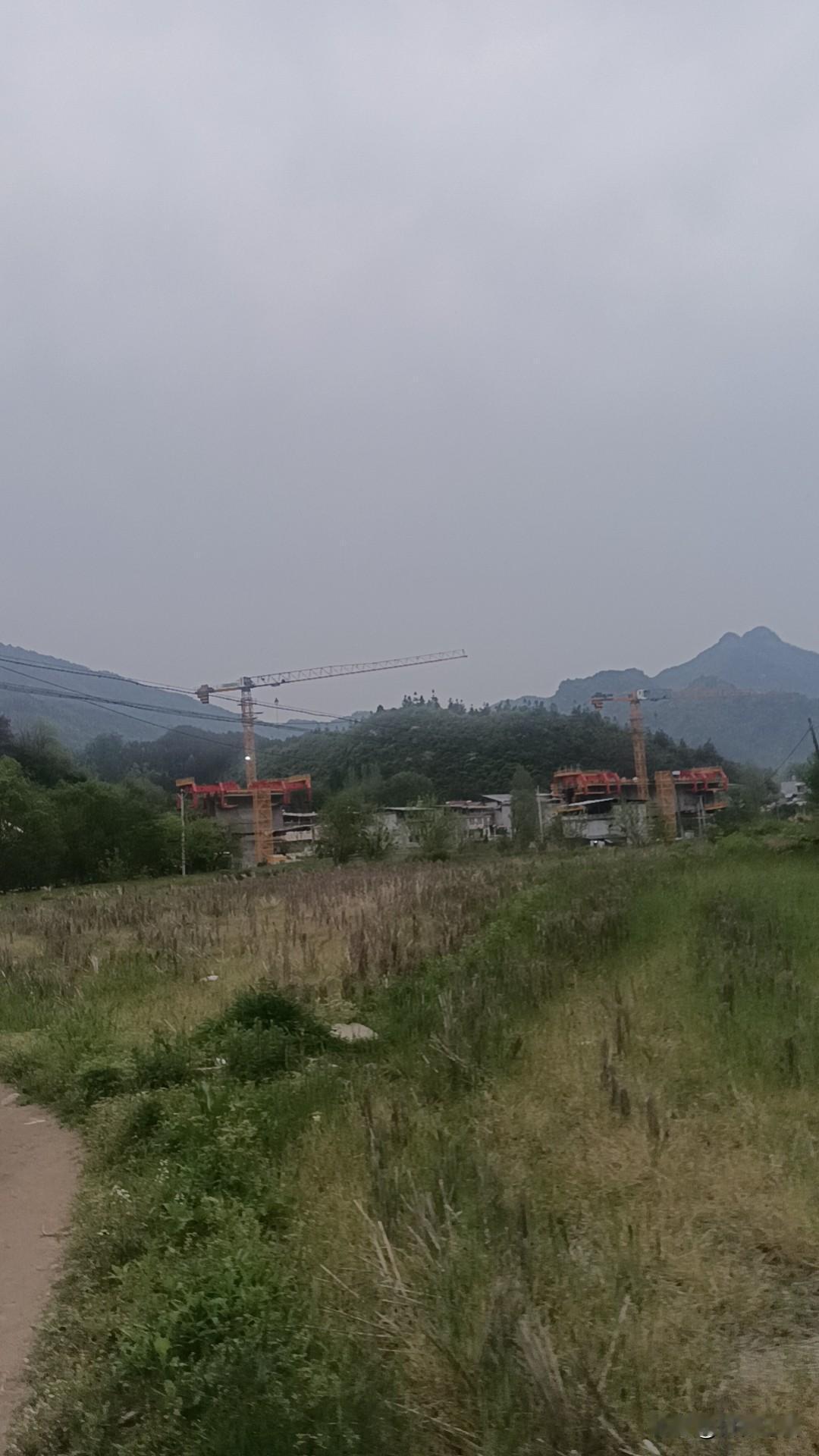 心静，便是最好的人生人这一辈子，烦恼从来都不是生活太难，而是自己心太乱，总在胡