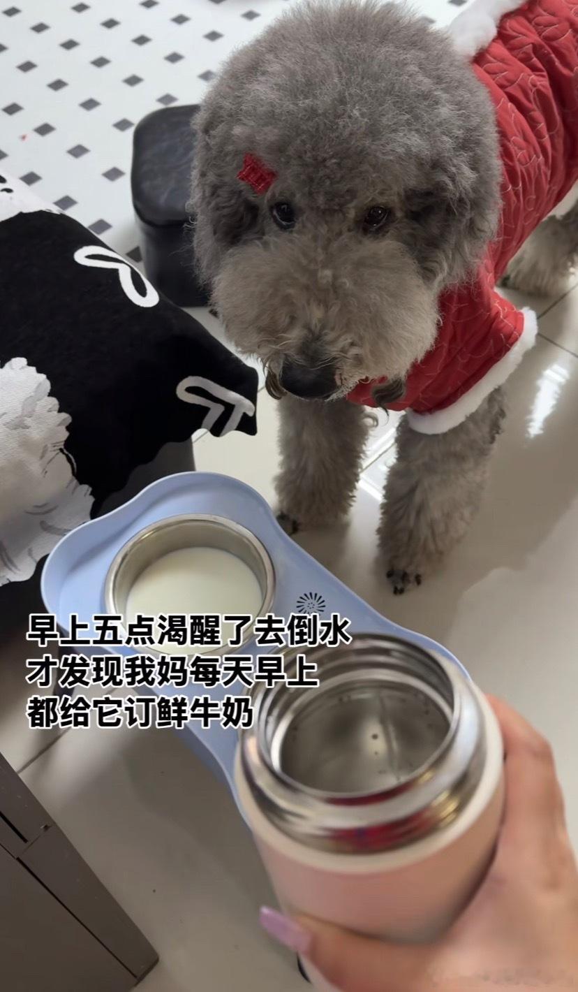 养宠物后家庭地位又下降了一位