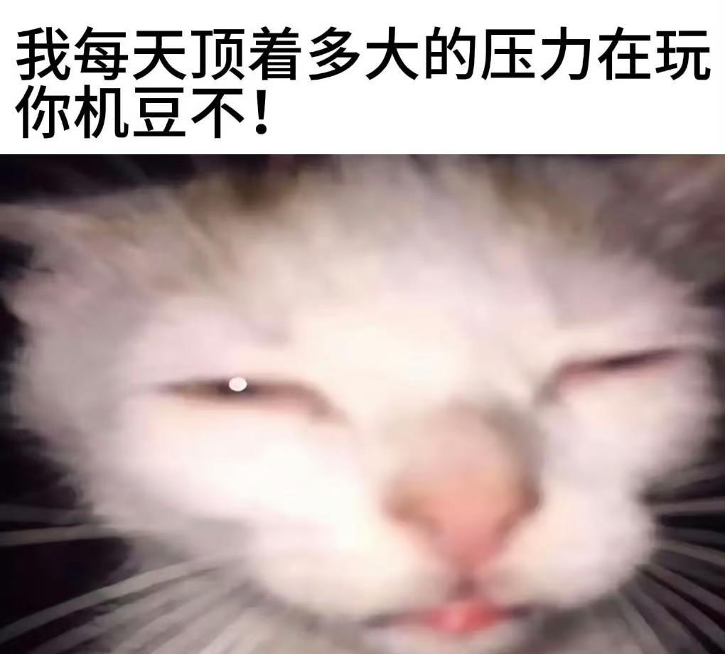 【78】嗯对期末周我就这样我好难受萌物bot萌不要再搞抽象了好吗期末周