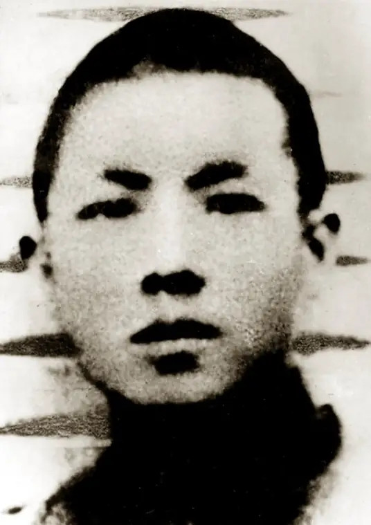 1938年，明知家中有日军，煤矿工人节振国偏向虎山行，他刚进门，几头日寇就气势汹
