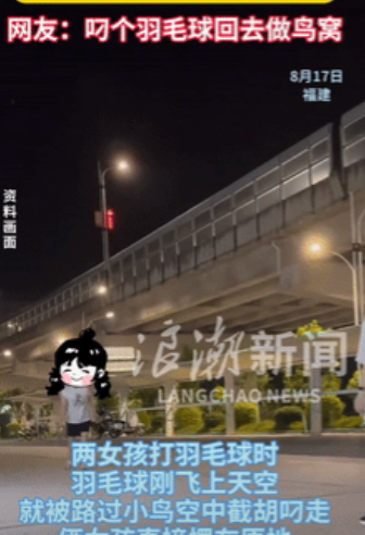 半路却杀出来了个“程咬金”！福建，一女孩和朋友晚上去打羽毛球，谁料，在把球丢向空