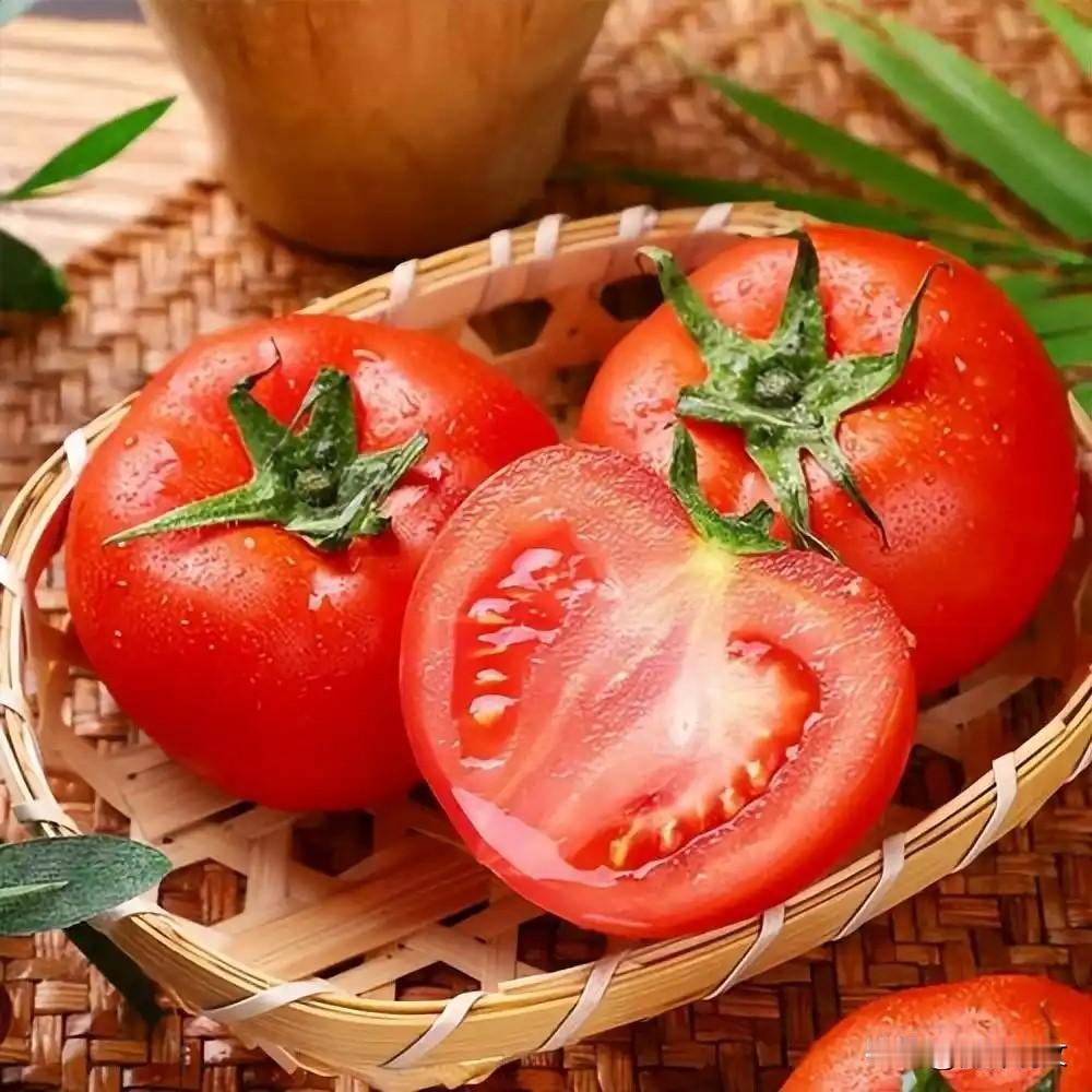 种西红柿不用瞎整枝！牢记两水一肥，省心又高产很多人种西红柿，天天