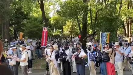 日本反政府集会呼吁政府下台，主办方称参与者达2.5万人据俄罗斯卫星通讯社