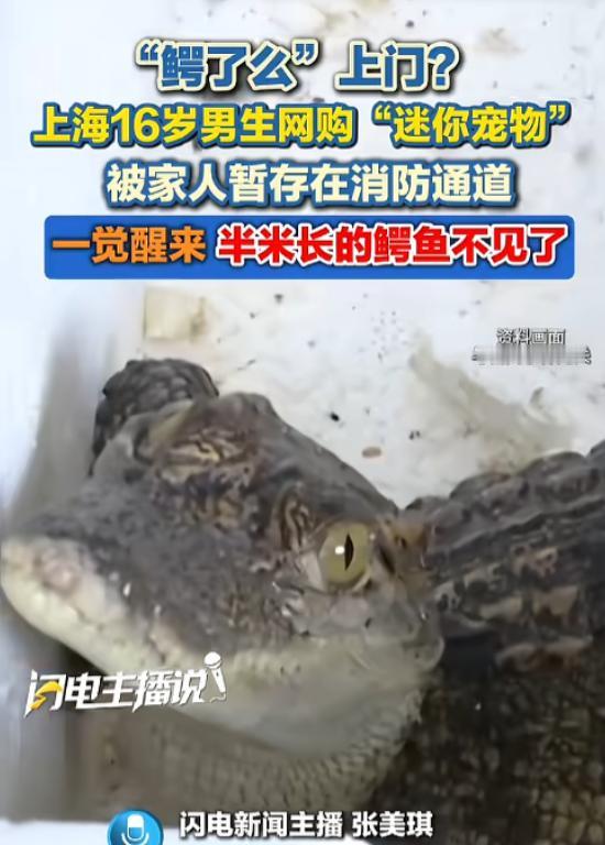 “太吓人了！”近日据媒体报道，上海，一16岁男生因猎奇心理，在网上买了一只暹罗鳄