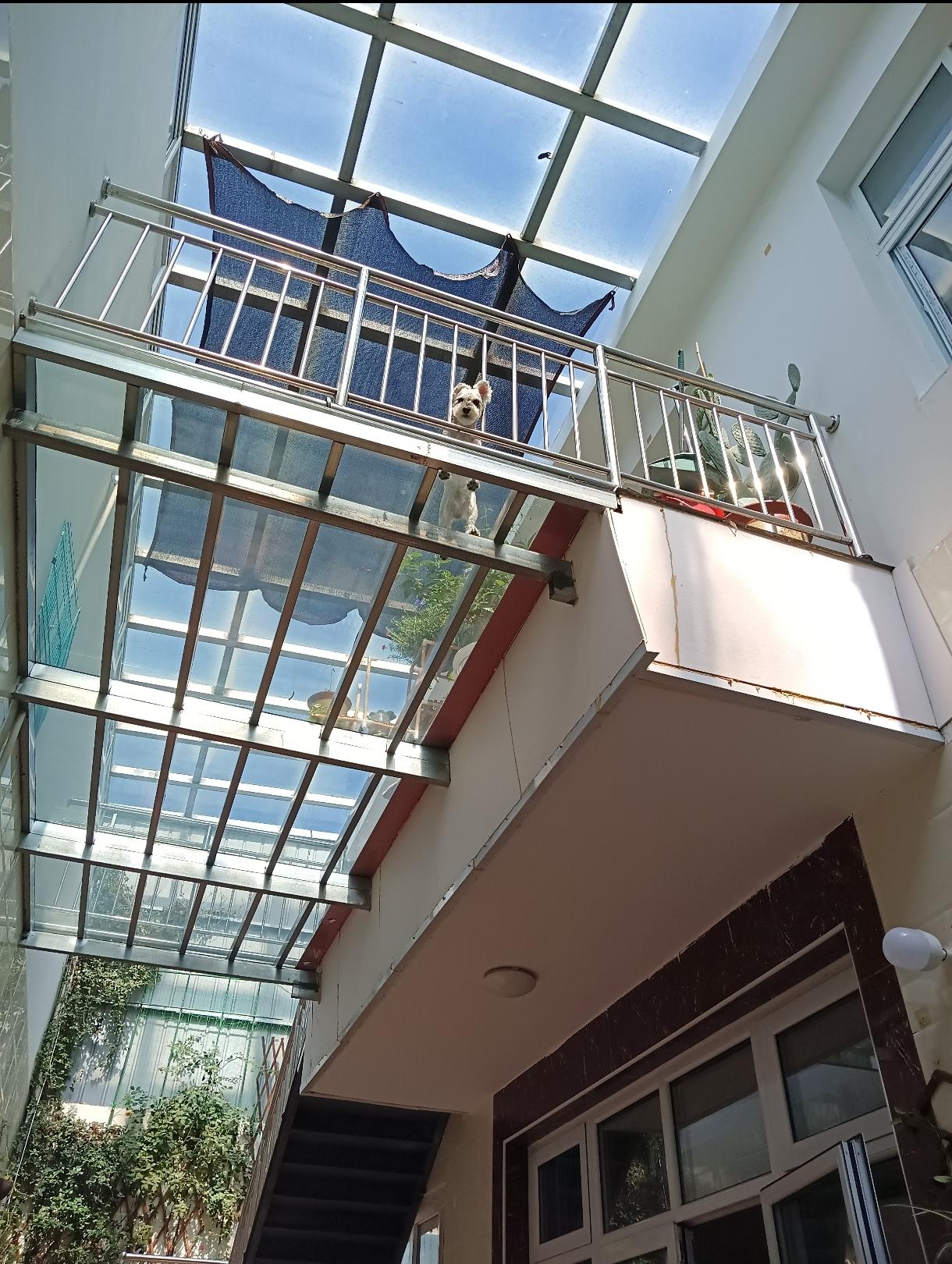 露台己经是悬臂结构，又在再加建受重力地台,非常危险,祝户主好运。