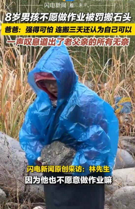 “实力惊人！”杭州8岁男孩抗拒写作业，父亲一气之下带他下乡搬石头，从早上八点一直