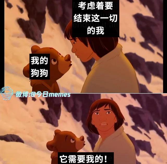 赋予（9gag）今日meme今日memes