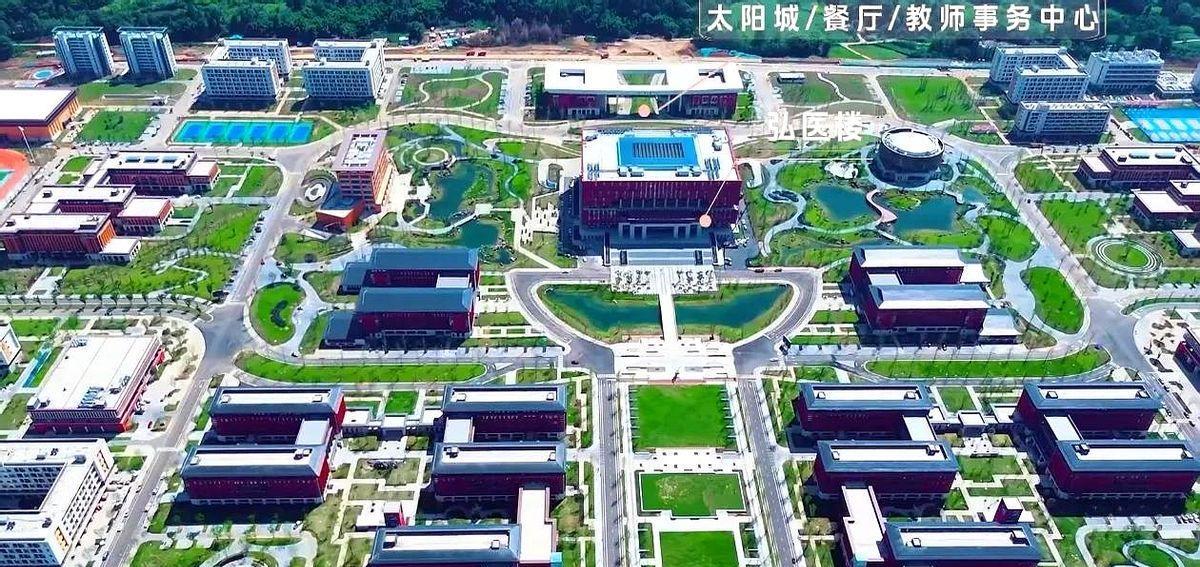 就因为一个名字，两兄弟的命运彻底分道扬镳。川北医学院的学生，把毕业证往桌上一拍